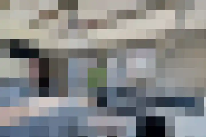 De Klamp 8 Erica thumbnail 42