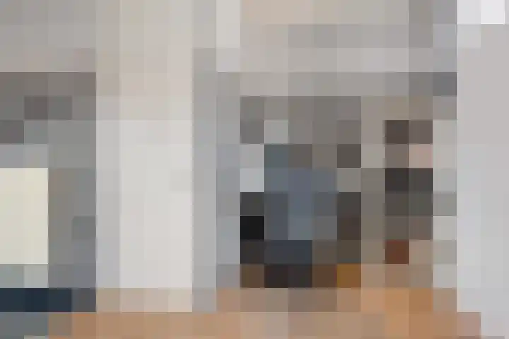 De Klamp 8 Erica thumbnail 6