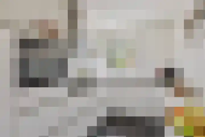 De Klapmuts 4 Hoogland thumbnail 15