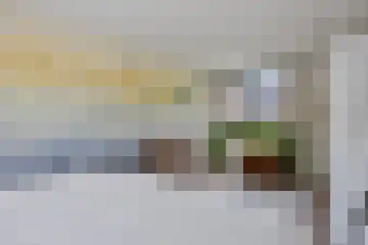 De Klapmuts 4 Hoogland thumbnail 20