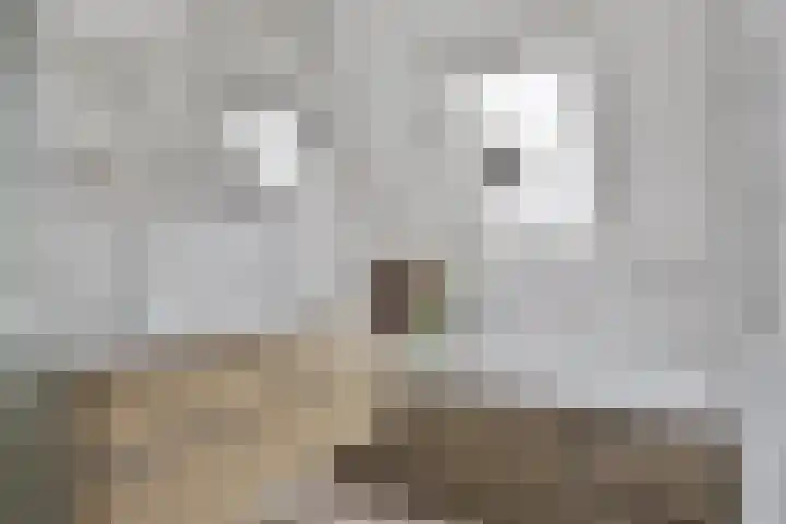 De Klapmuts 4 Hoogland thumbnail 26