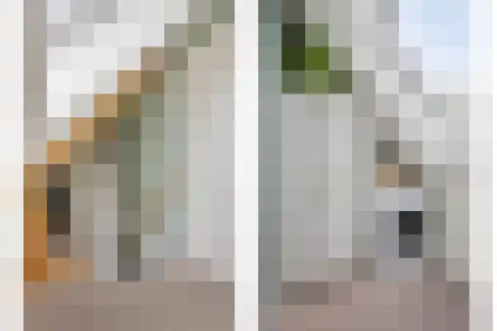 De Klapmuts 4 Hoogland thumbnail 29