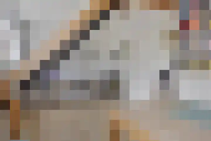 De Klapmuts 4 Hoogland thumbnail 31