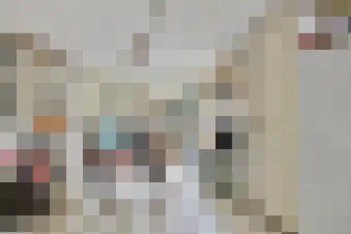 De Klapmuts 4 Hoogland thumbnail 32