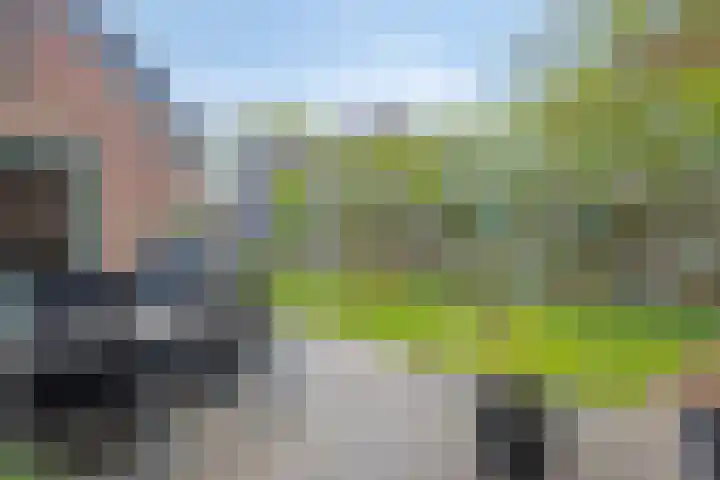 De Klapmuts 4 Hoogland thumbnail 34