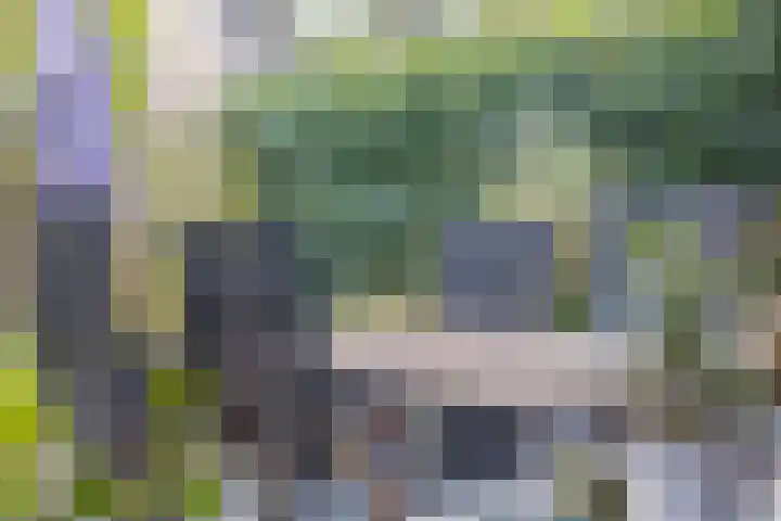 De Klapmuts 4 Hoogland thumbnail 35
