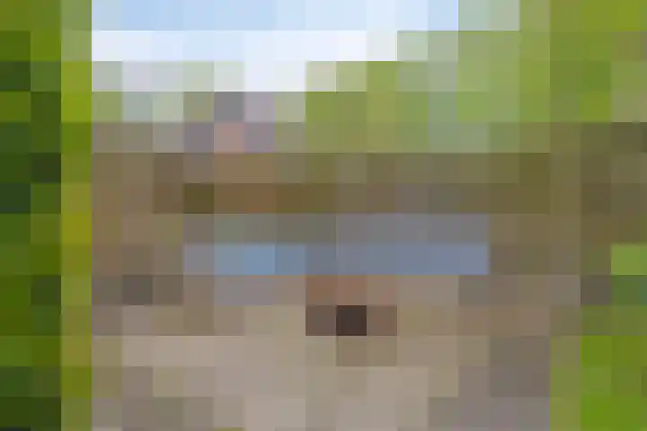 De Klapmuts 4 Hoogland thumbnail 37