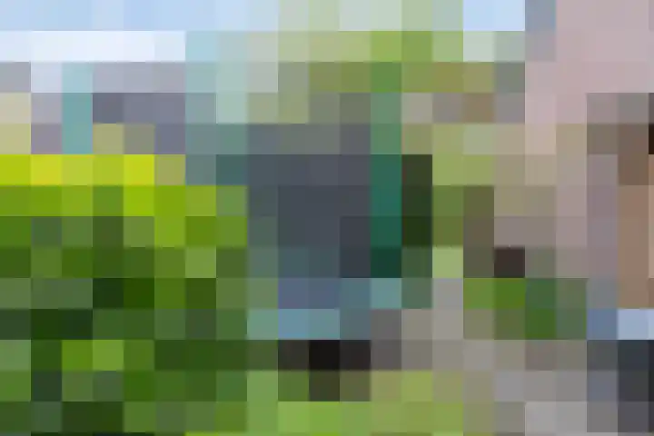 De Klapmuts 4 Hoogland thumbnail 39