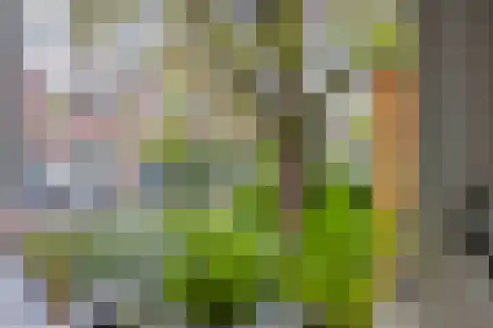 De Klapmuts 4 Hoogland thumbnail 40