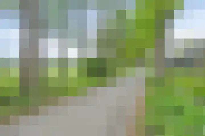 De Klapmuts 4 Hoogland thumbnail 42