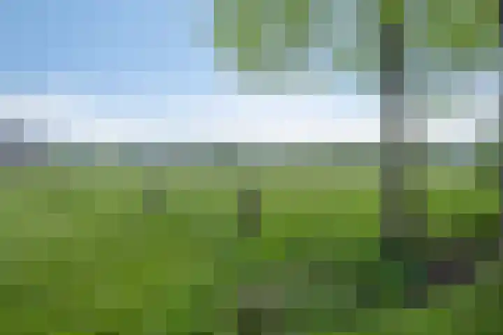 De Klapmuts 4 Hoogland thumbnail 43