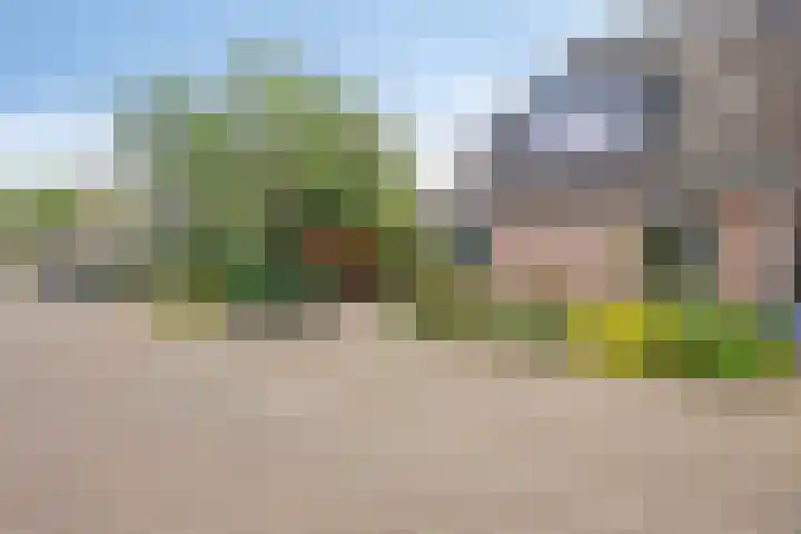 De Klapmuts 4 Hoogland thumbnail 5