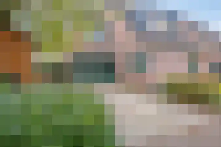 De Klapmuts 4 Hoogland thumbnail 6