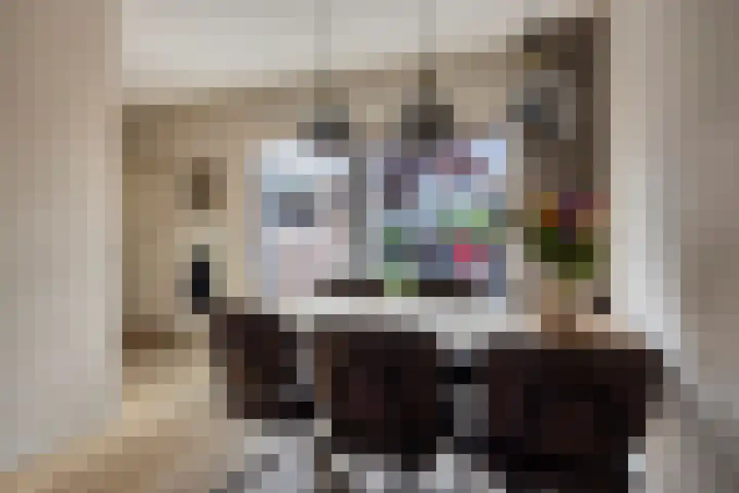 de Klauwier 4 Denekamp thumbnail 10