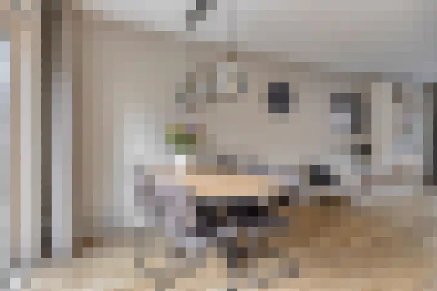 de Klauwier 4 Denekamp thumbnail 11