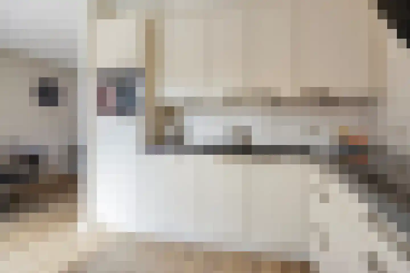 de Klauwier 4 Denekamp thumbnail 13