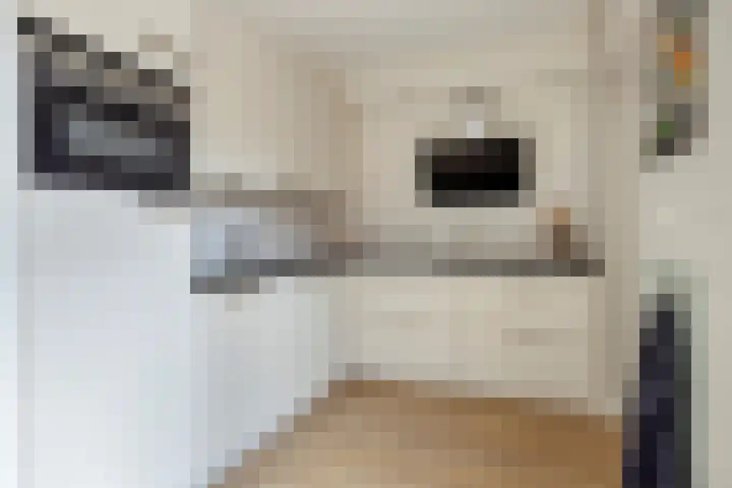 de Klauwier 4 Denekamp thumbnail 14