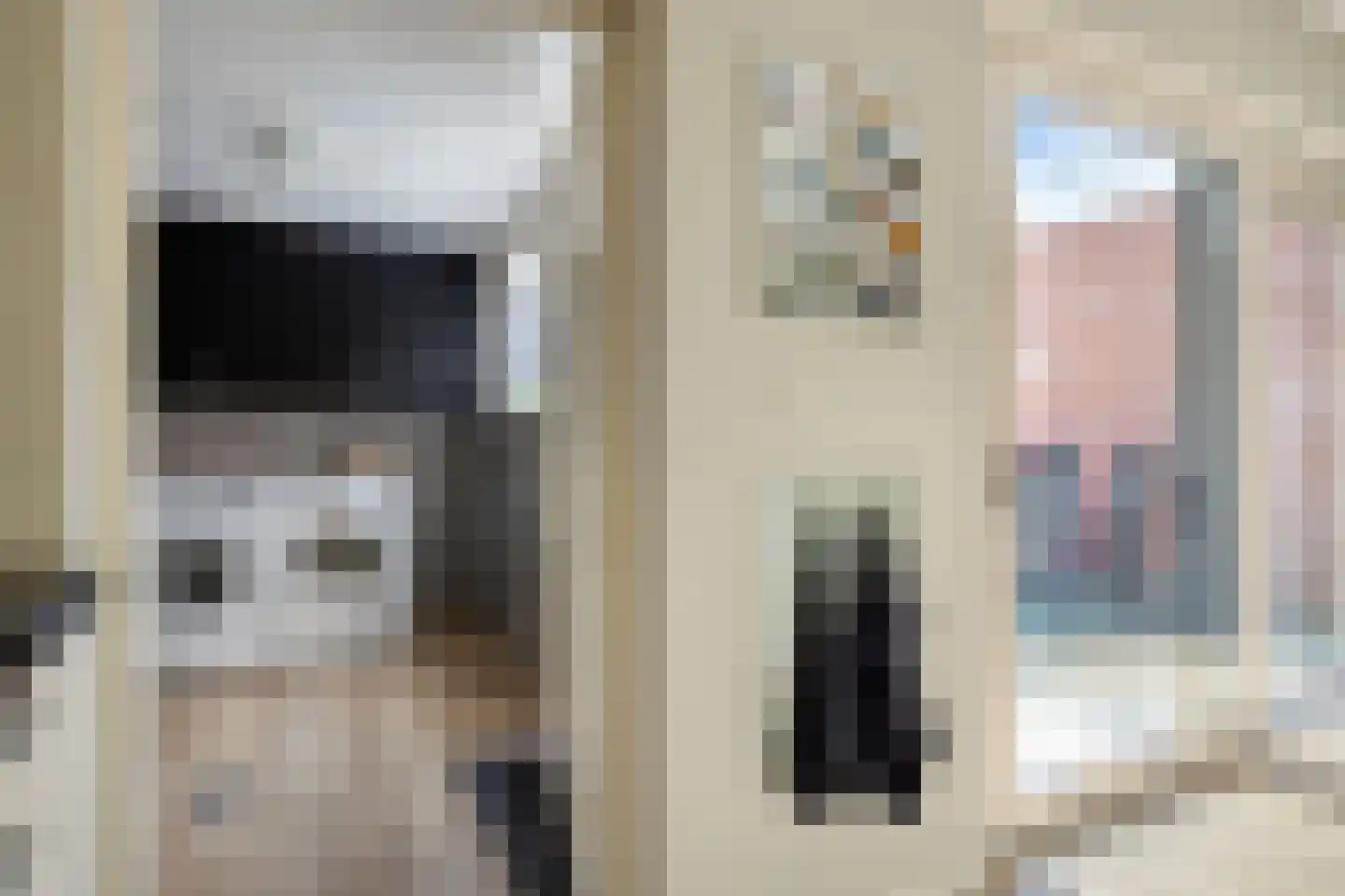 de Klauwier 4 Denekamp thumbnail 16