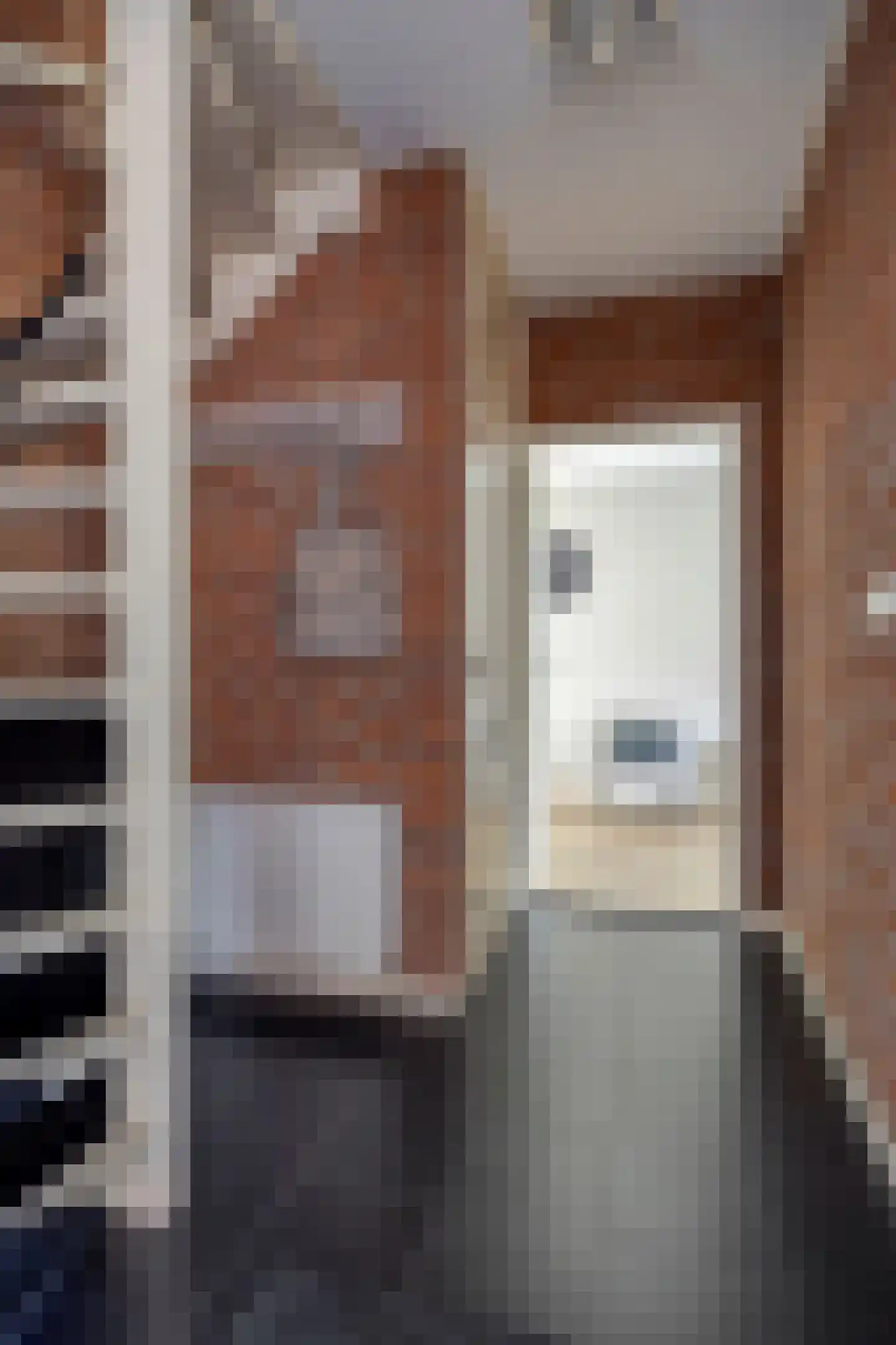 de Klauwier 4 Denekamp thumbnail 18