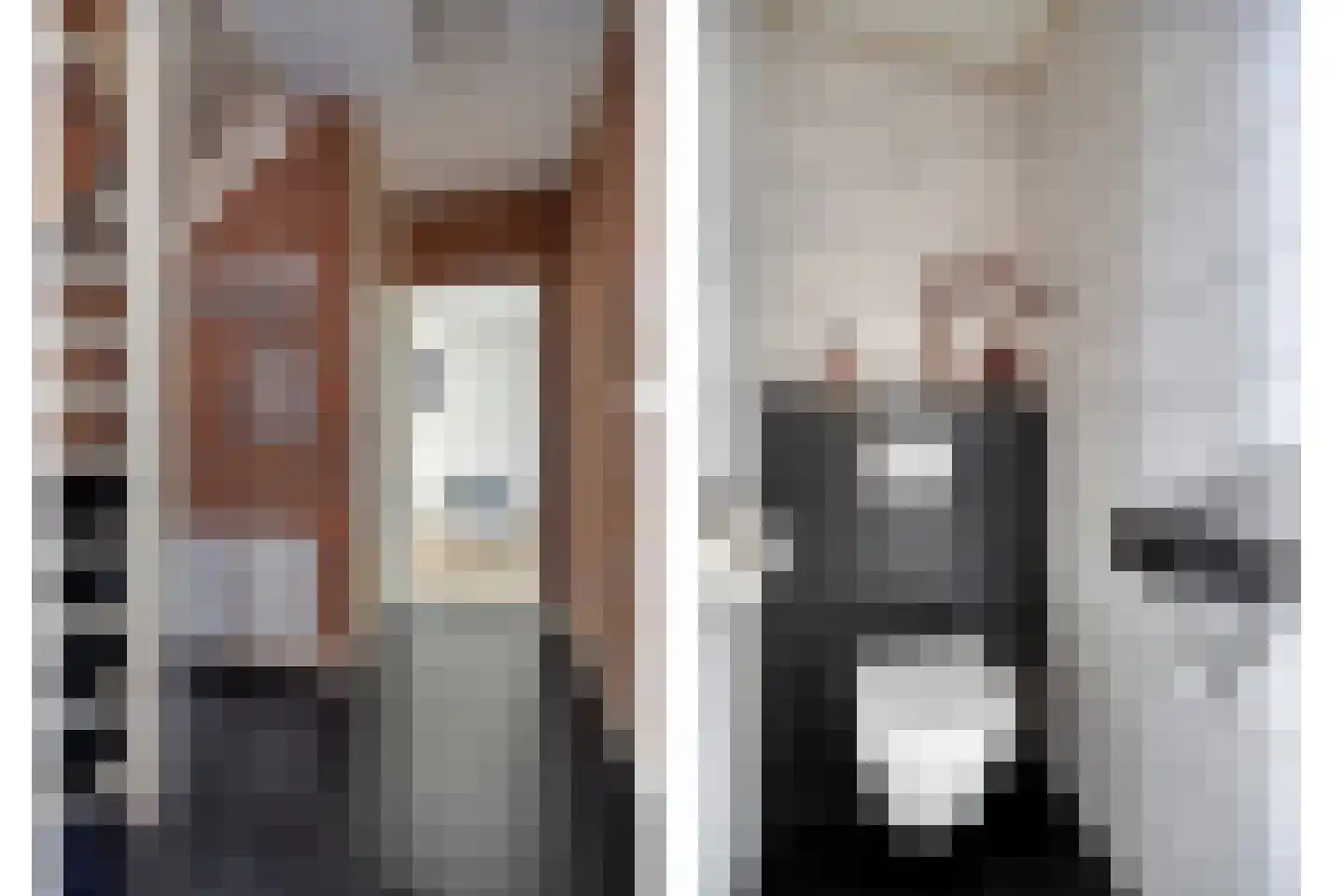 de Klauwier 4 Denekamp thumbnail 19