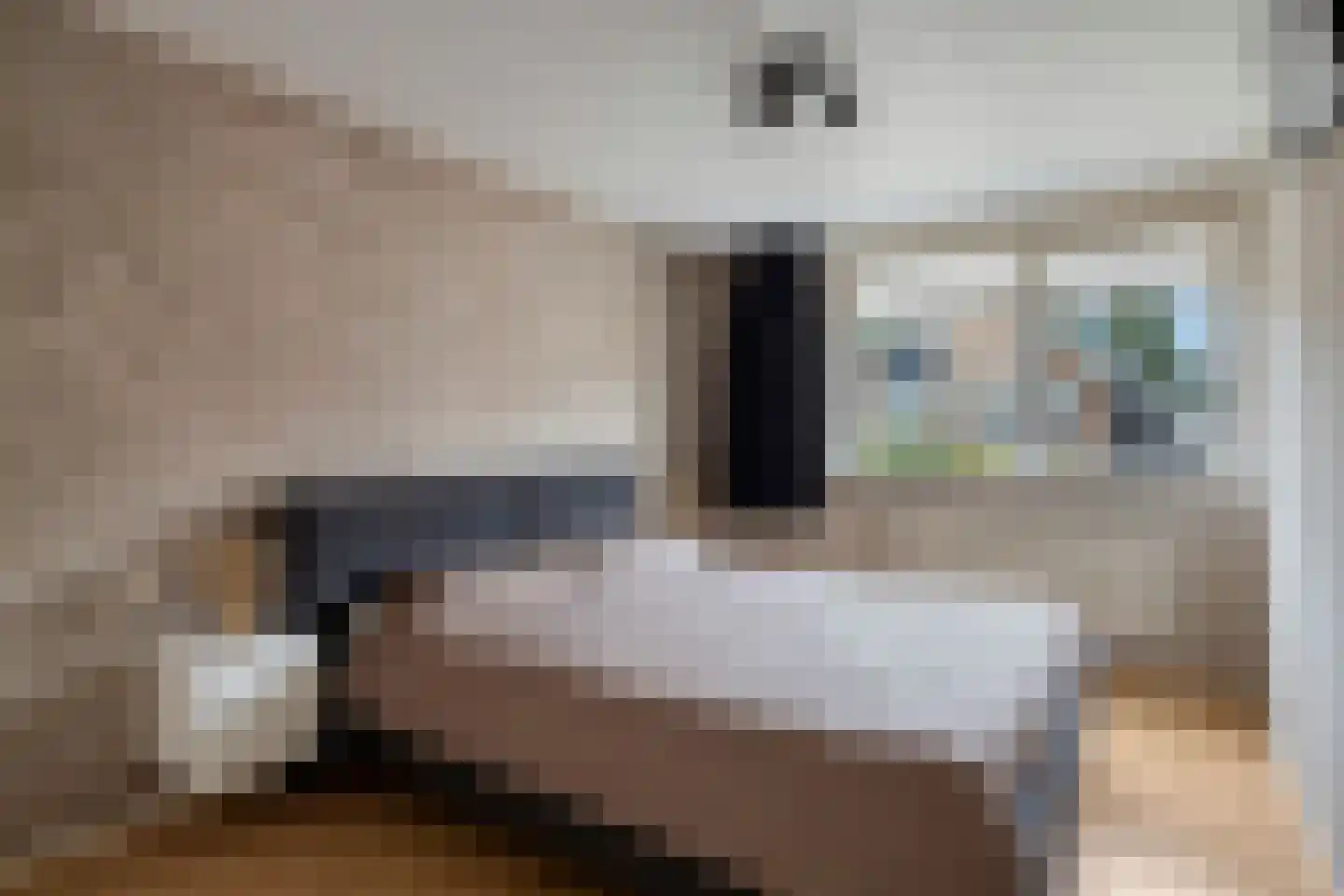 de Klauwier 4 Denekamp thumbnail 21