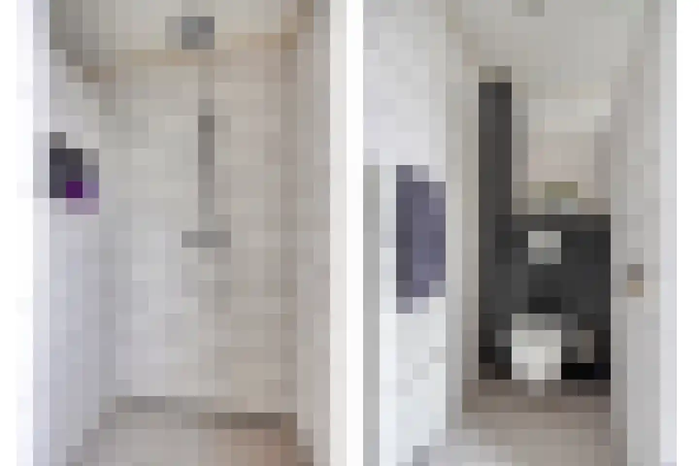 de Klauwier 4 Denekamp thumbnail 23