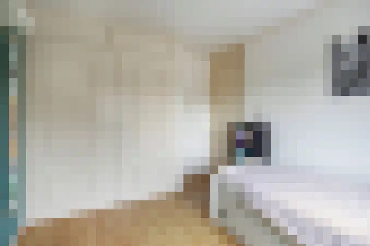 de Klauwier 4 Denekamp thumbnail 27