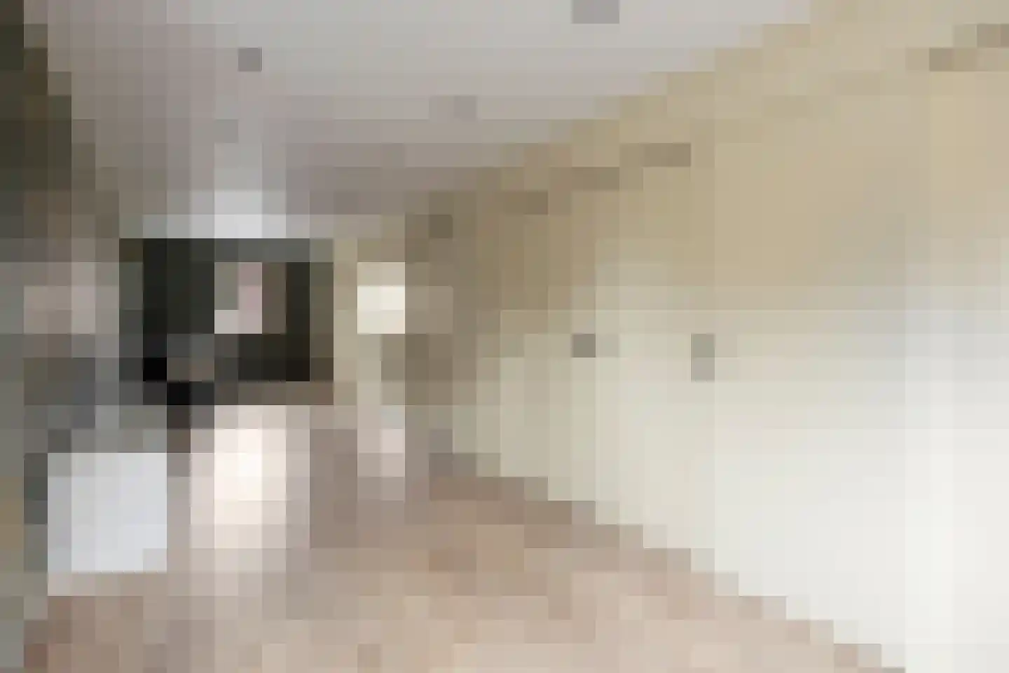 de Klauwier 4 Denekamp thumbnail 29