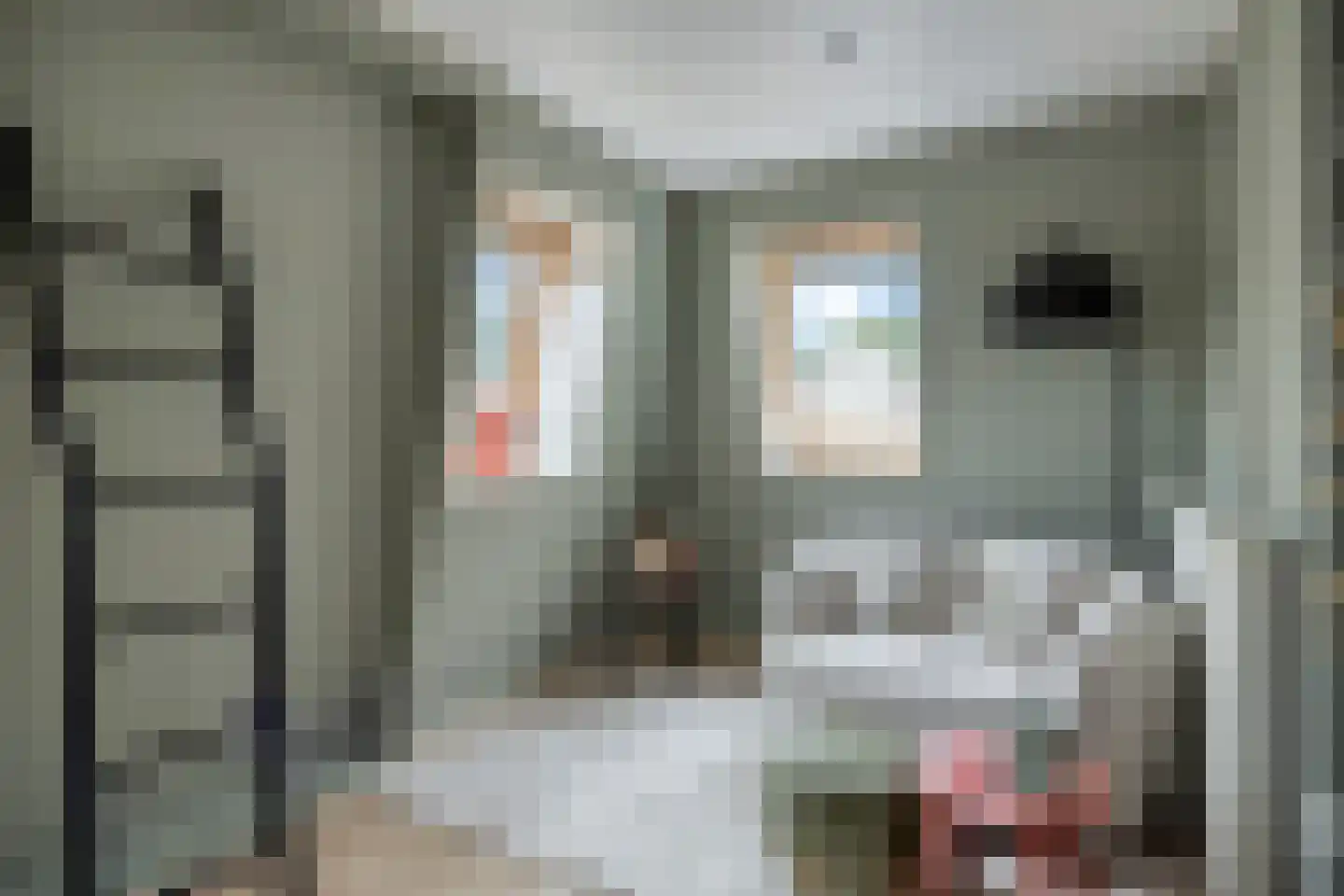 de Klauwier 4 Denekamp thumbnail 30