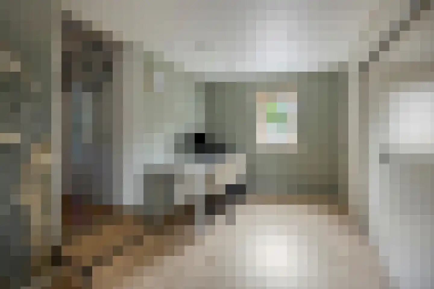 de Klauwier 4 Denekamp thumbnail 31