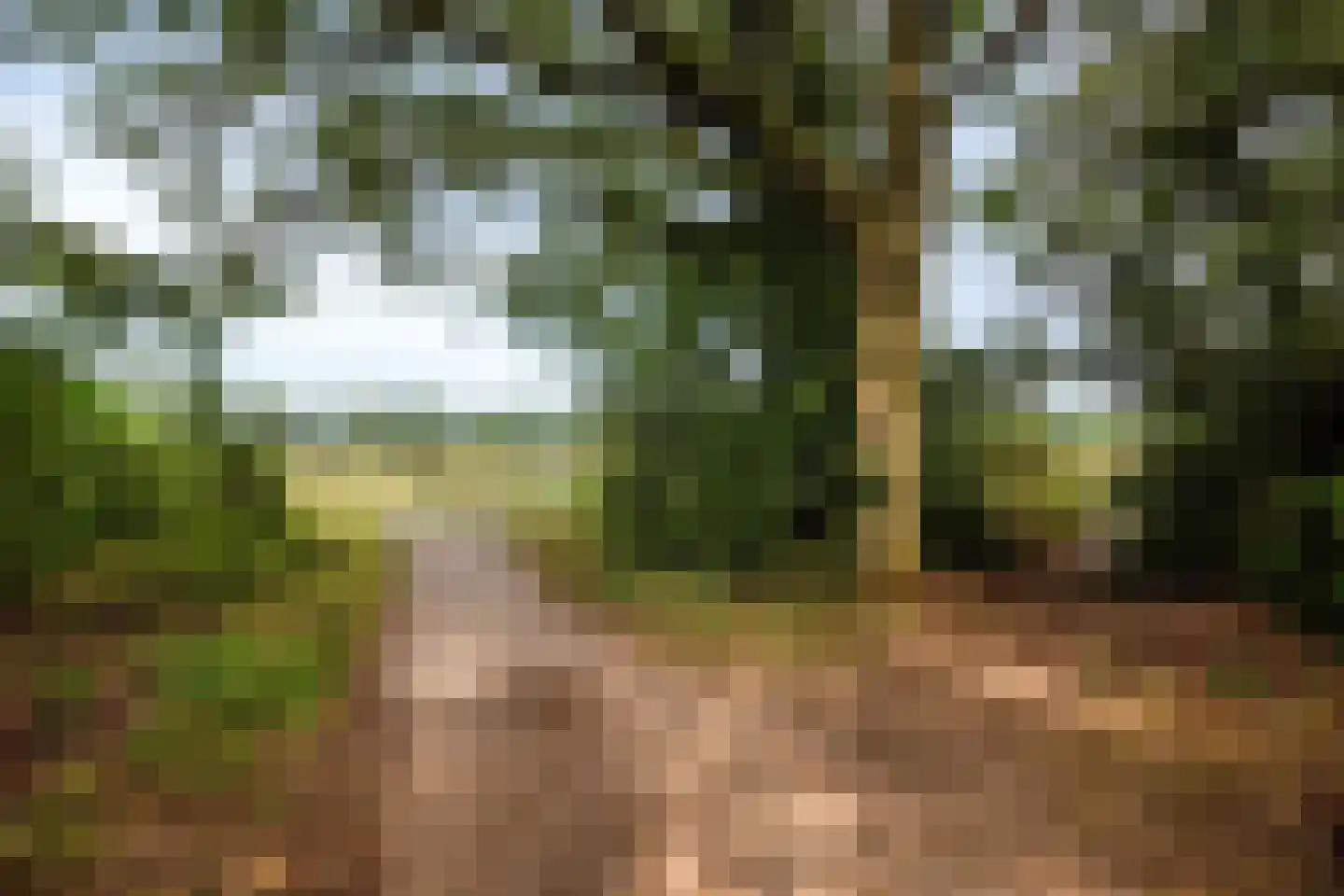 de Klauwier 4 Denekamp thumbnail 34