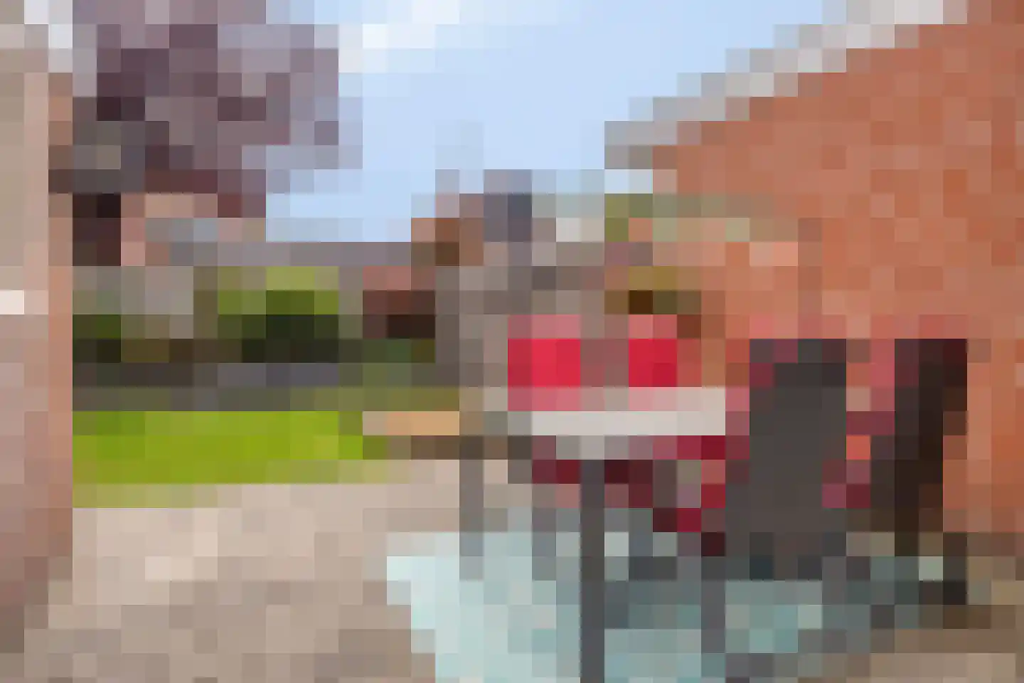 de Klauwier 4 Denekamp thumbnail 35