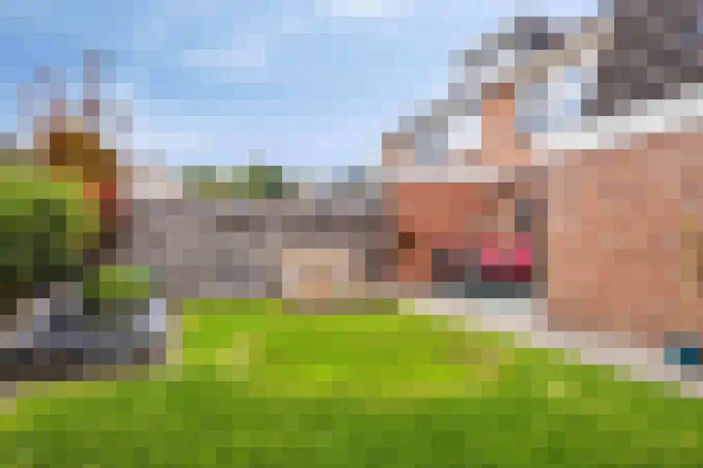 de Klauwier 4 Denekamp thumbnail 36