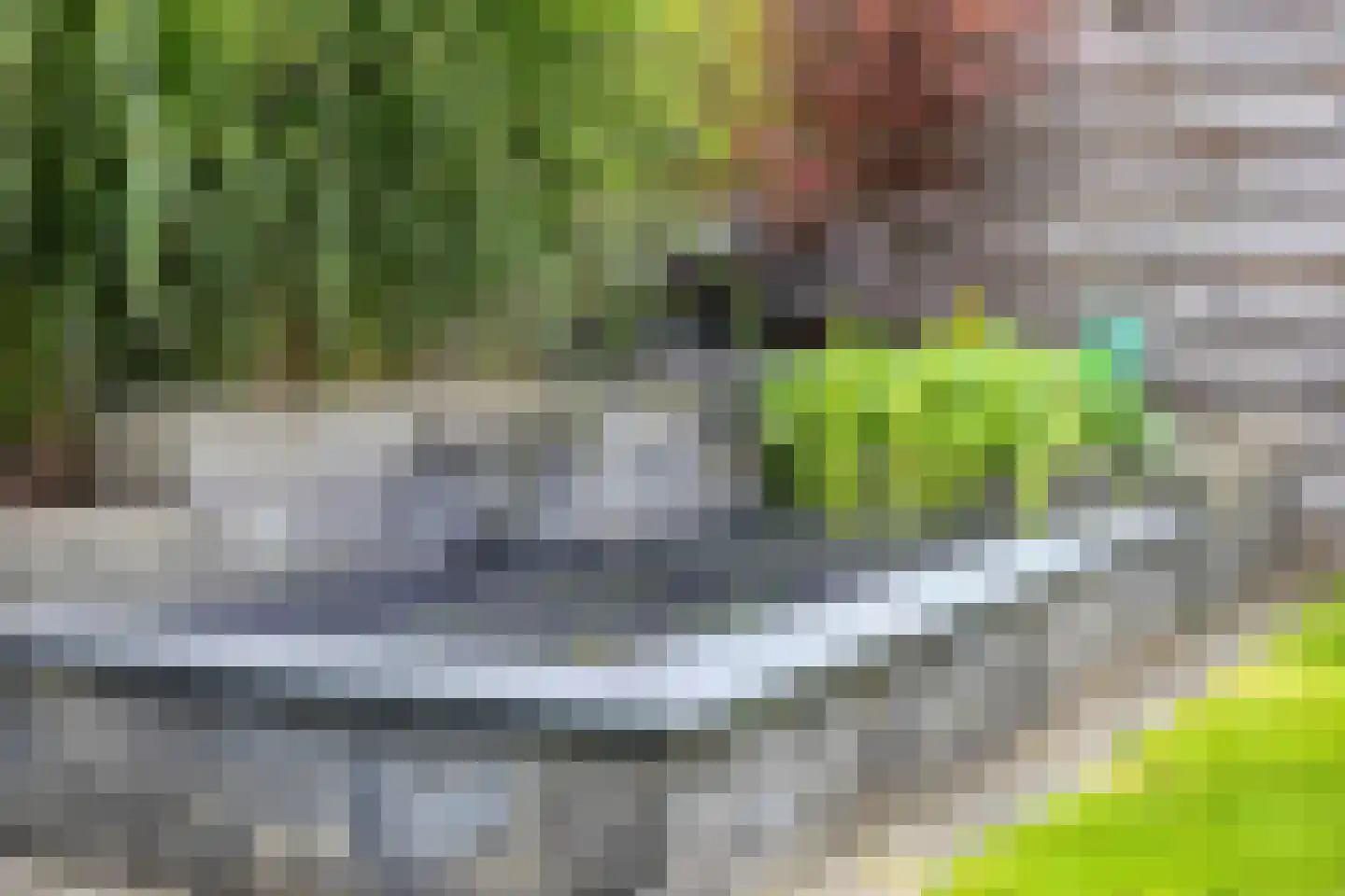 de Klauwier 4 Denekamp thumbnail 37
