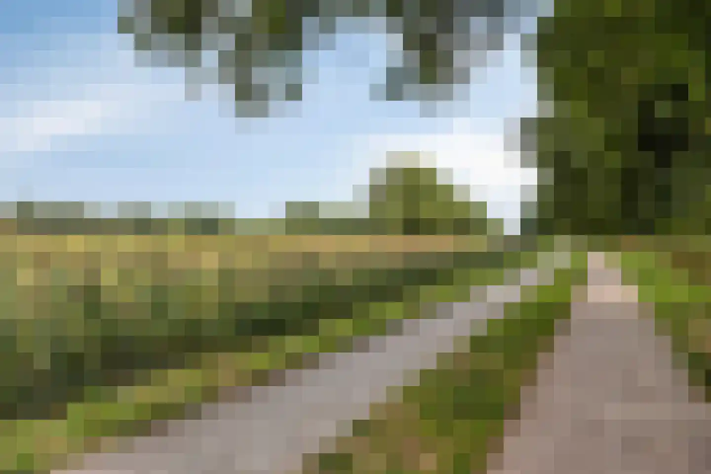 de Klauwier 4 Denekamp thumbnail 45