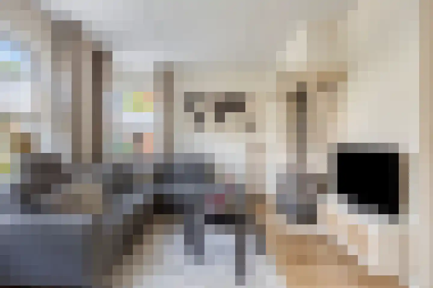 de Klauwier 4 Denekamp thumbnail 6