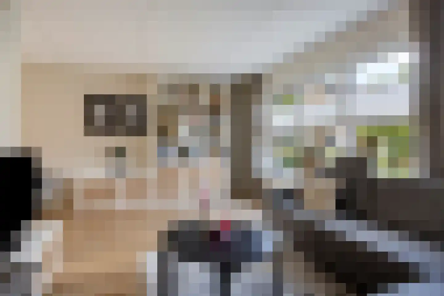 de Klauwier 4 Denekamp thumbnail 7