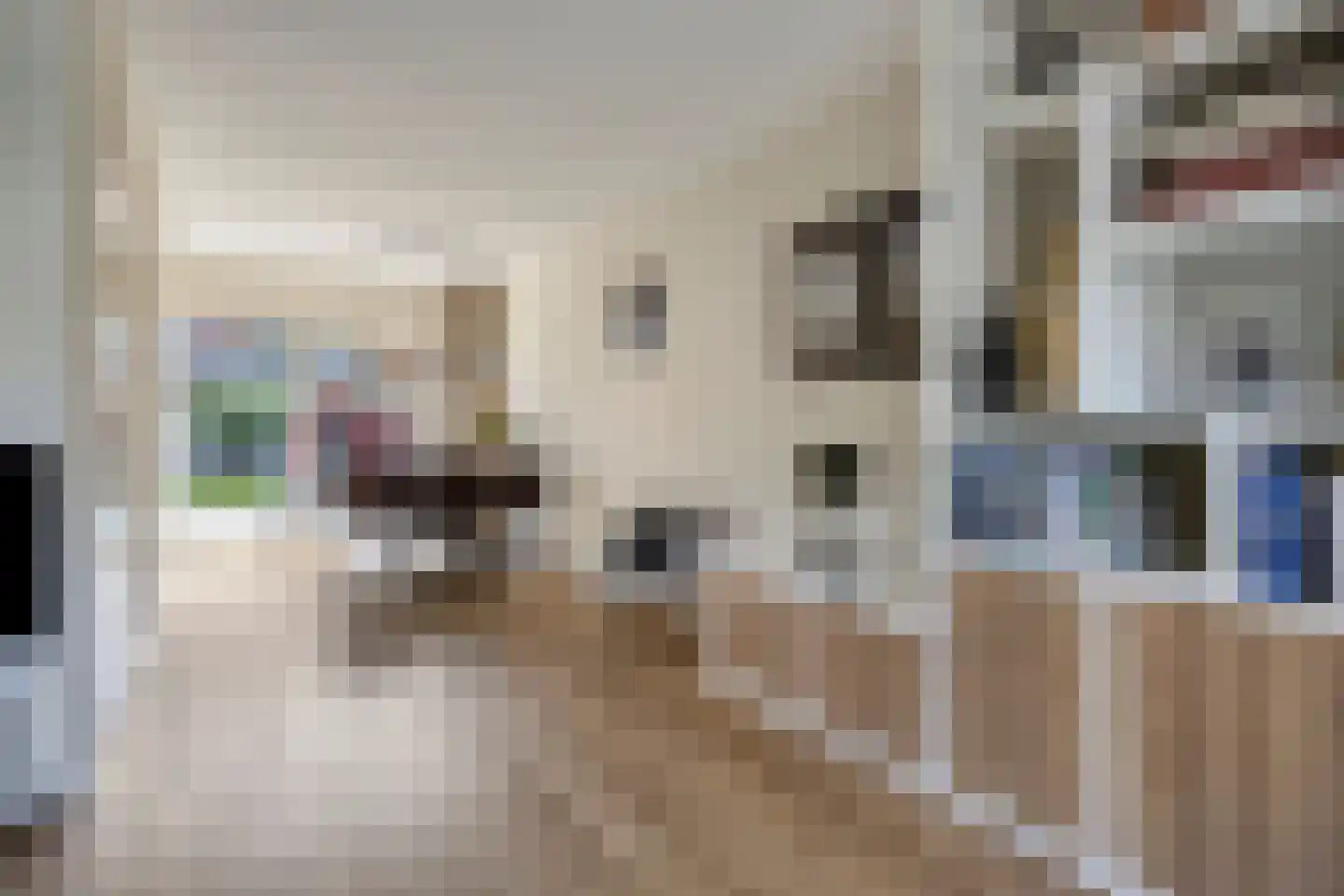 de Klauwier 4 Denekamp thumbnail 8