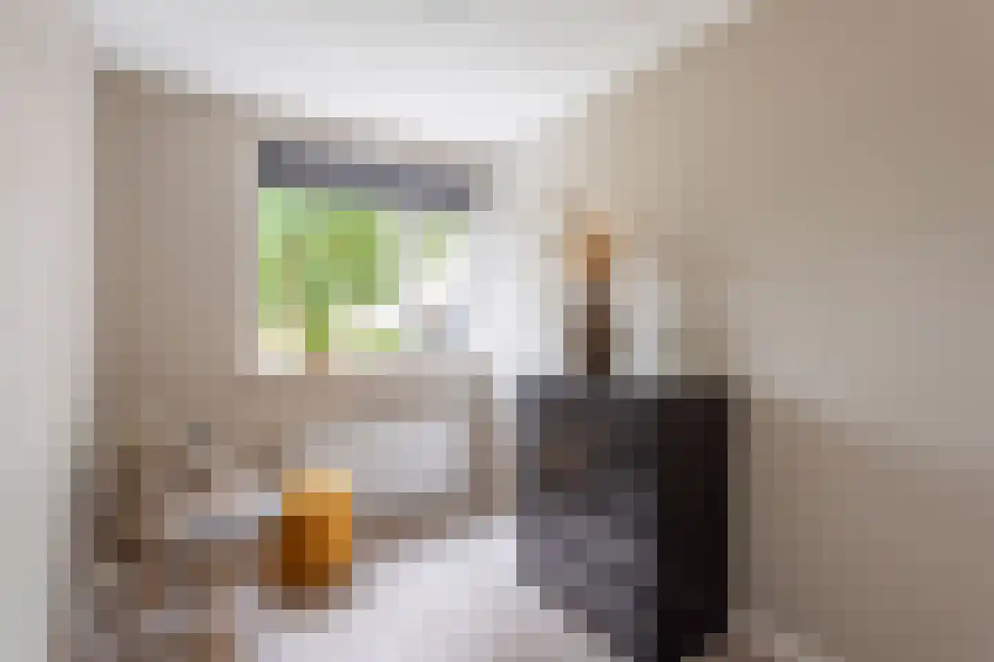 de Klauwier 59 Denekamp thumbnail 18