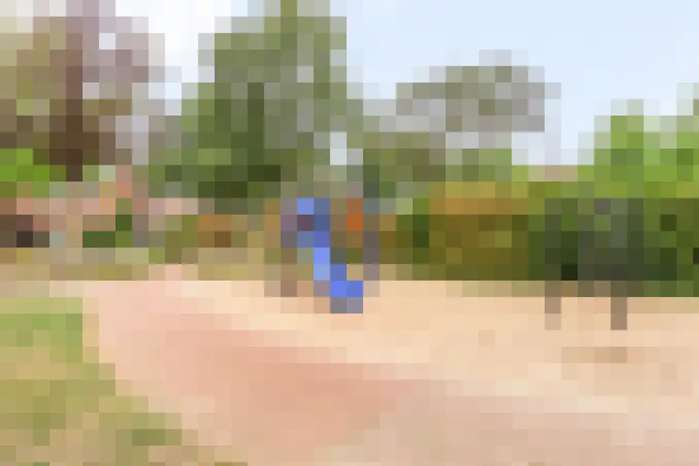 de Klauwier 59 Denekamp thumbnail 23