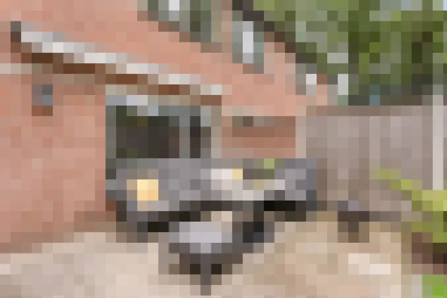 de Klauwier 59 Denekamp thumbnail 6