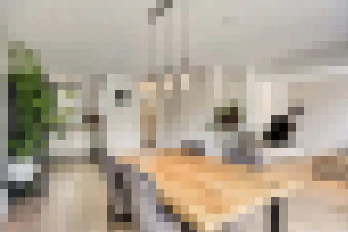 De Klaver 1 Heesch thumbnail 11
