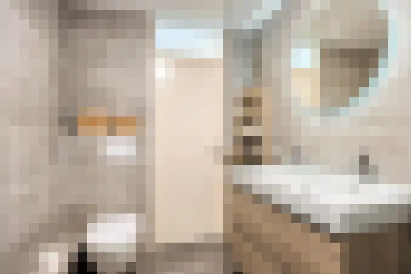 De Klaver 1 Heesch thumbnail 21