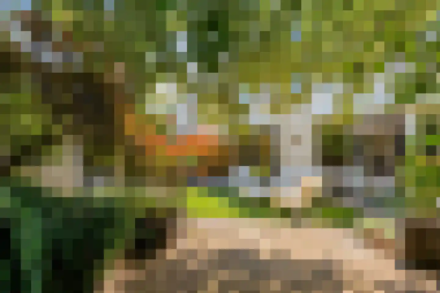 De Klaver 1 Heesch thumbnail 25