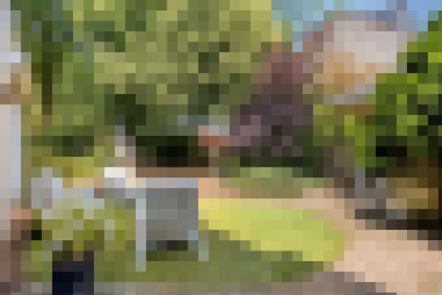 De Klaver 1 Heesch thumbnail 28