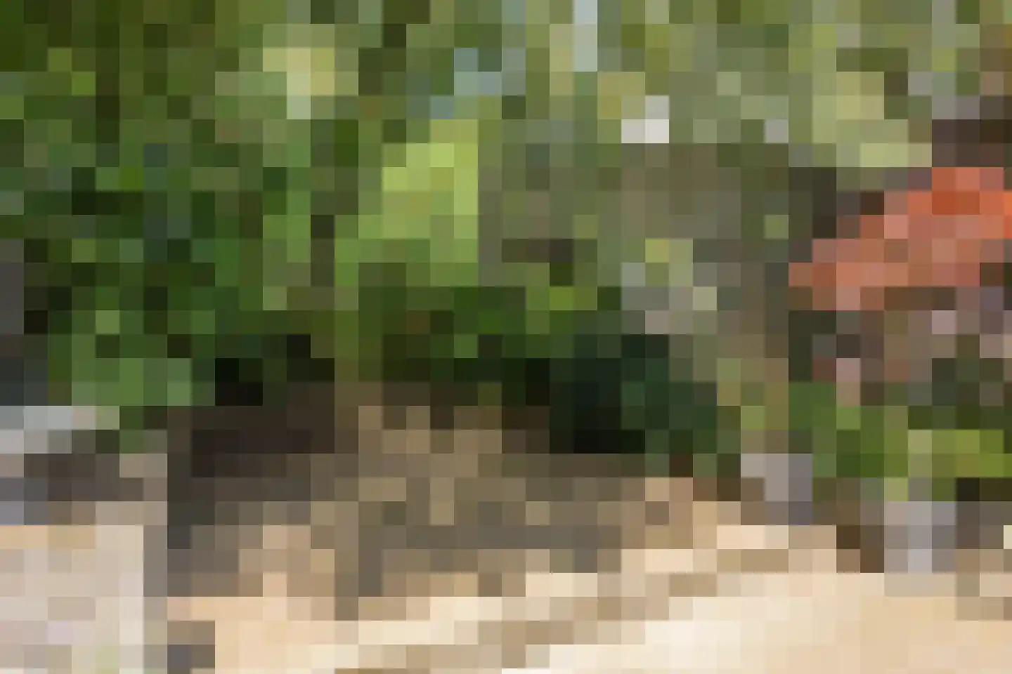 De Klaver 1 Heesch thumbnail 29
