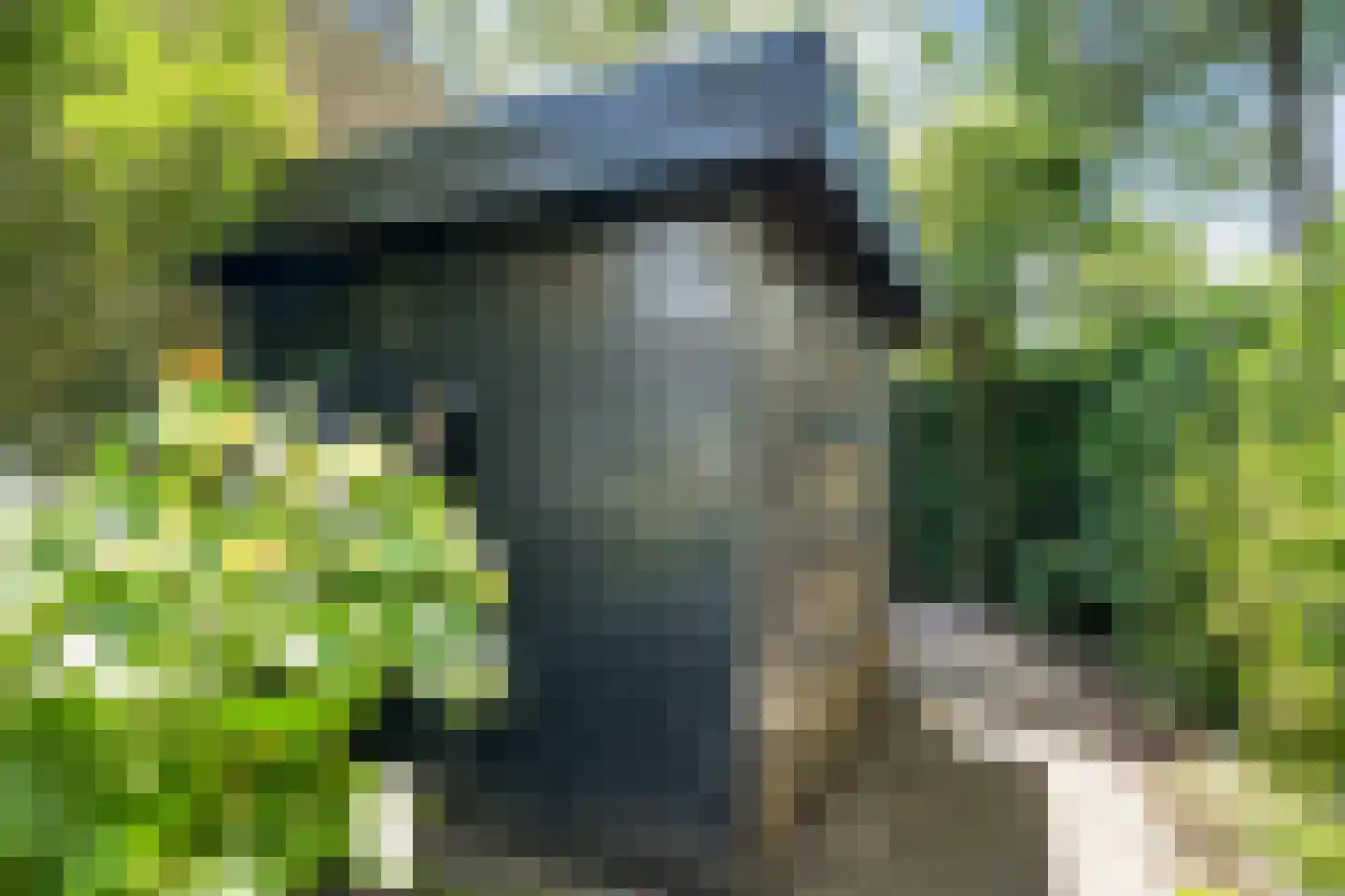 De Klaver 1 Heesch thumbnail 30