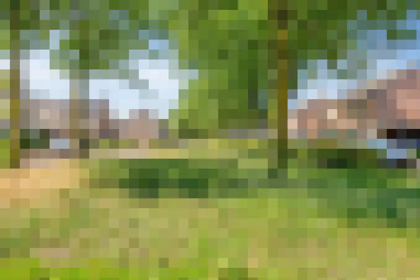 De Klaver 1 Heesch thumbnail 31