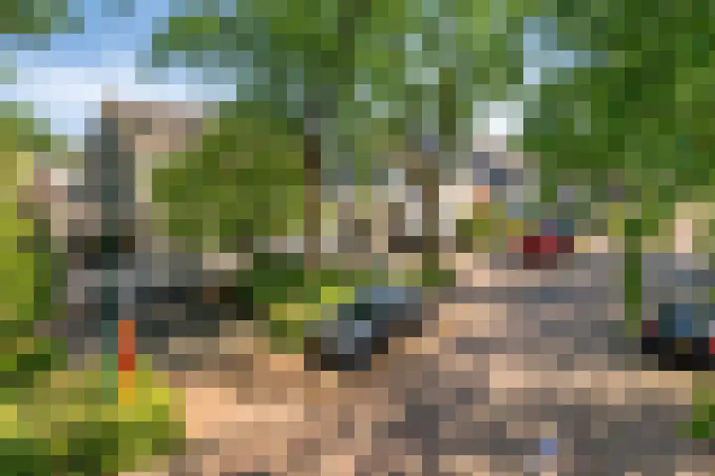 De Klaver 1 Heesch thumbnail 34