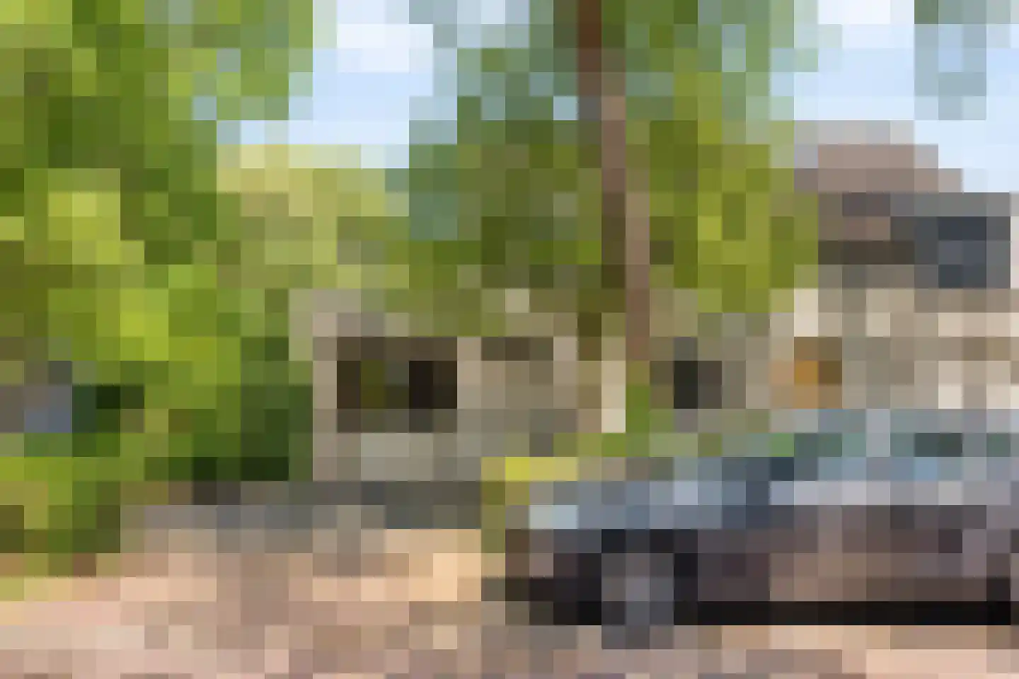 De Klaver 1 Heesch thumbnail 38
